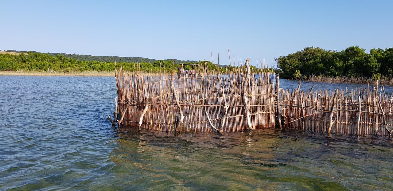 Kingfisher Bush Lodge Enkovukeni Екстериор снимка